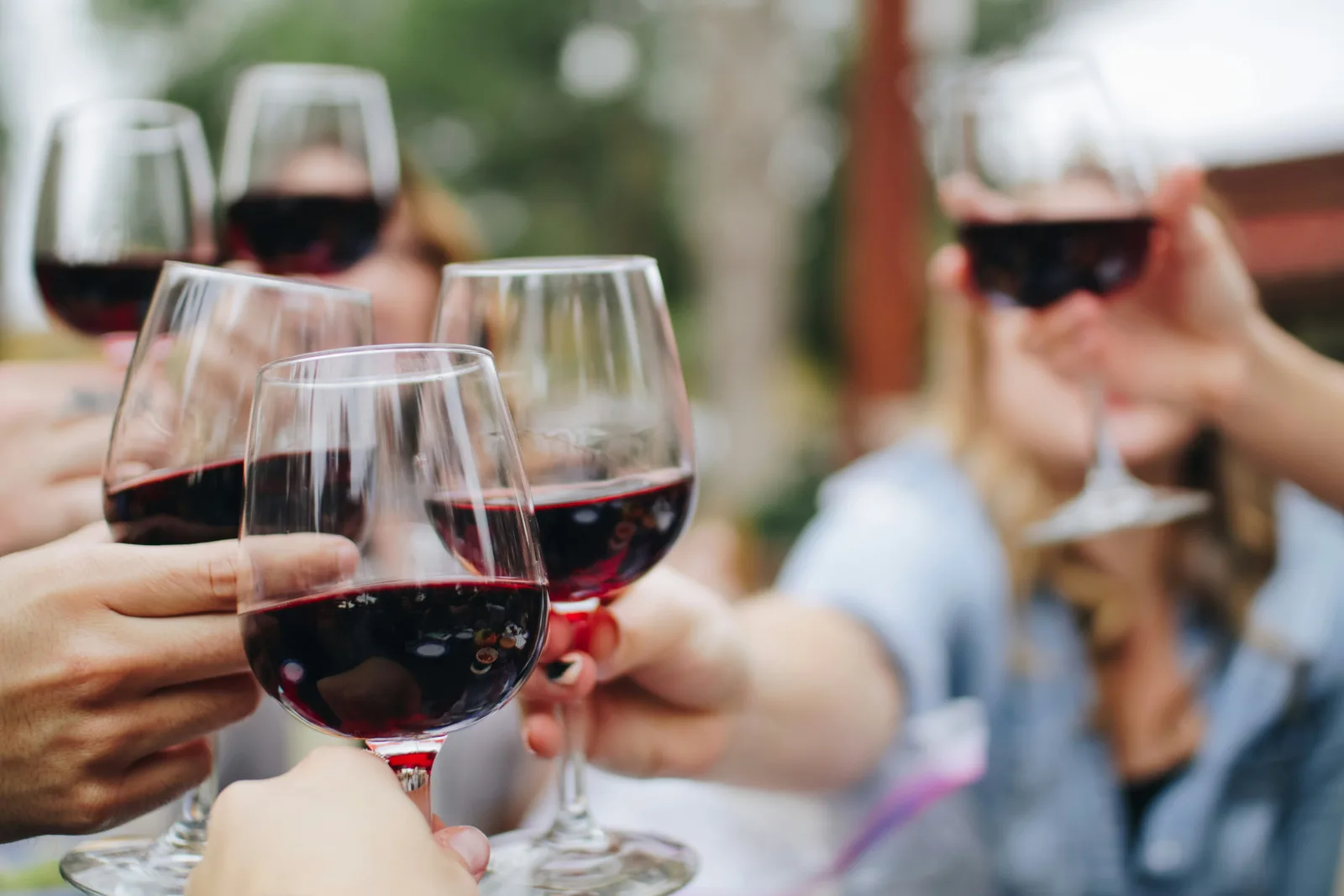 Curated wine selection in elegant glasses